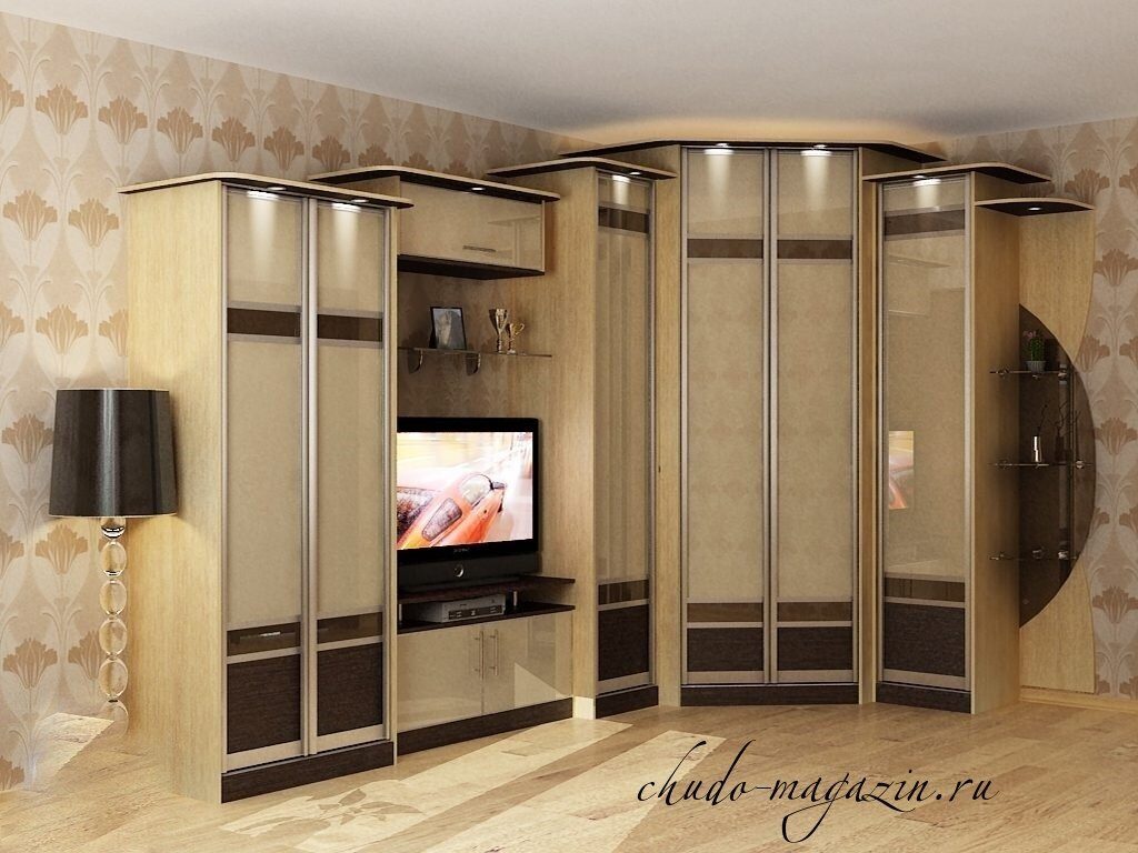 Шкаф в гостиную в современном стиле: виды, дизайн и расположение в интерьере